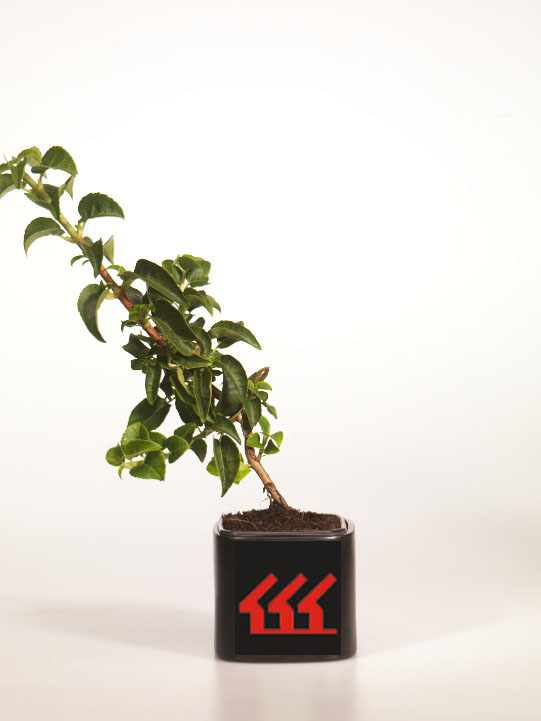 Гортензія Черешкова Гортензія Черешкова