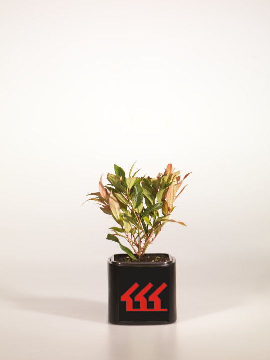 Леукотое Леукотое