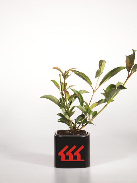 Калина Хиллери Калина Хиллери