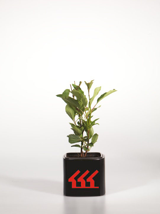 Калина Фаррера Калина Фаррера