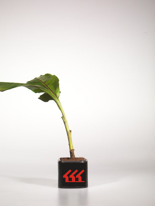 Банан Банан